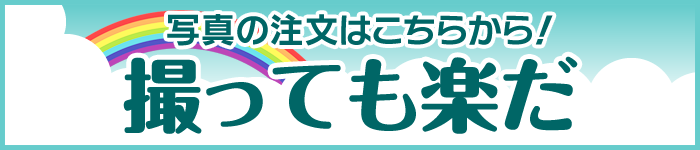撮っても楽だ